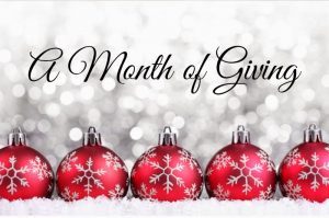 amonthofgiving